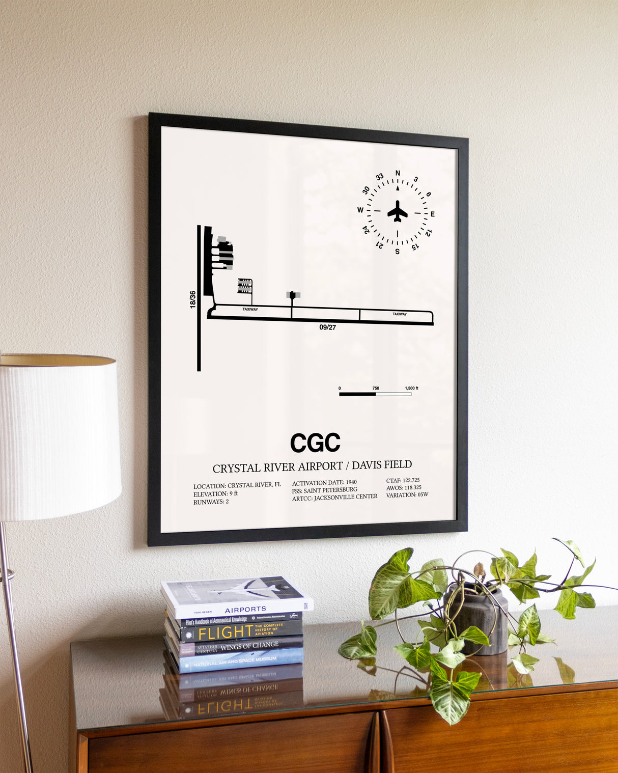 Crystal River Airport / Davis Field aviation wall décor in black wood frame