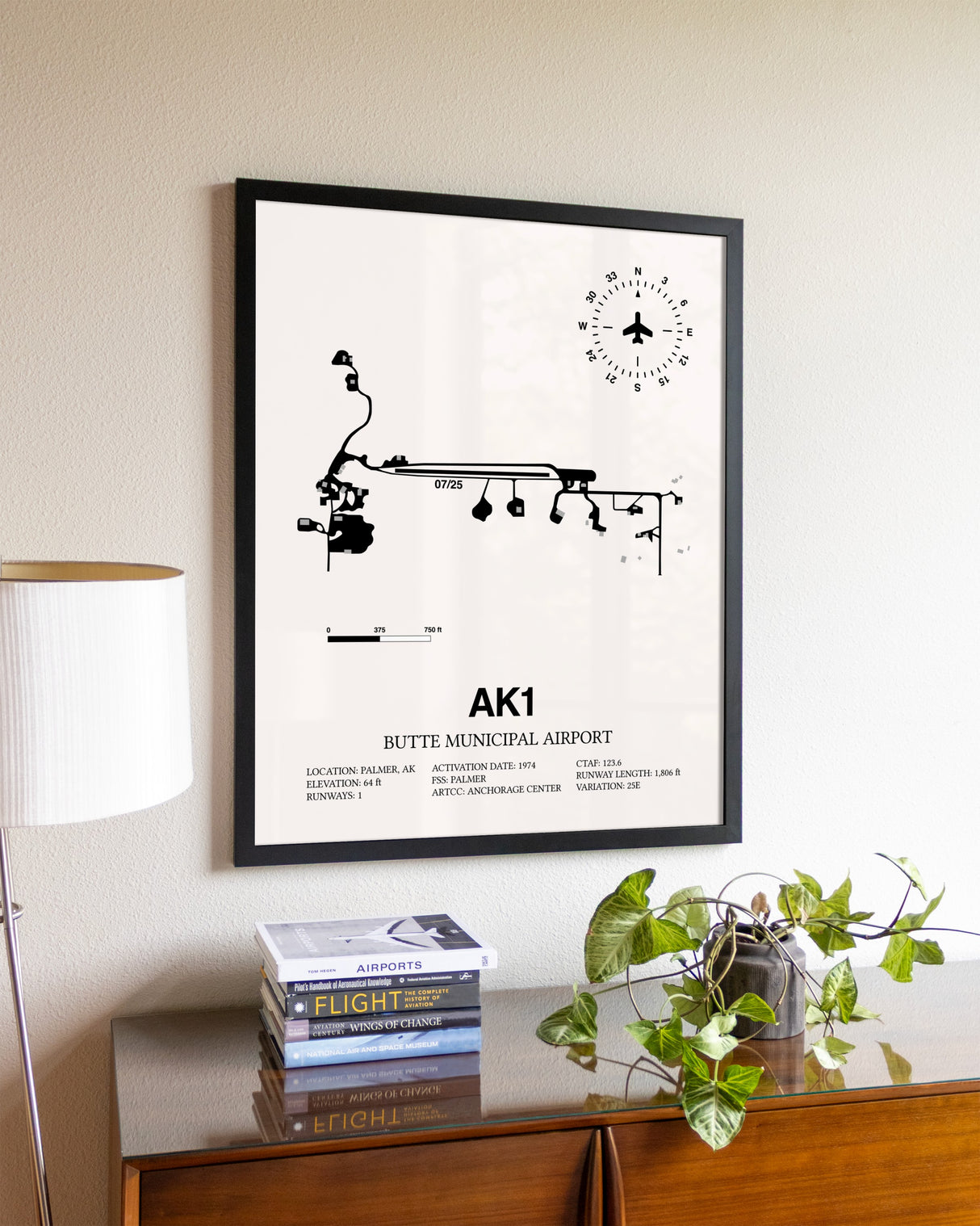 Butte Municipal Airport aviation wall décor in black wood frame