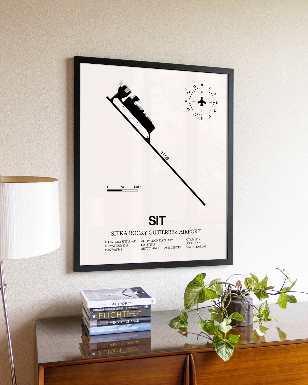 Sitka Rocky Gutierrez Airport aviation wall décor in black wood frame