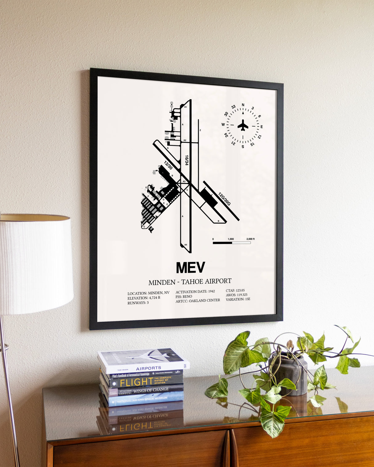 Minden-Tahoe Airport aviation wall décor in black wood frame