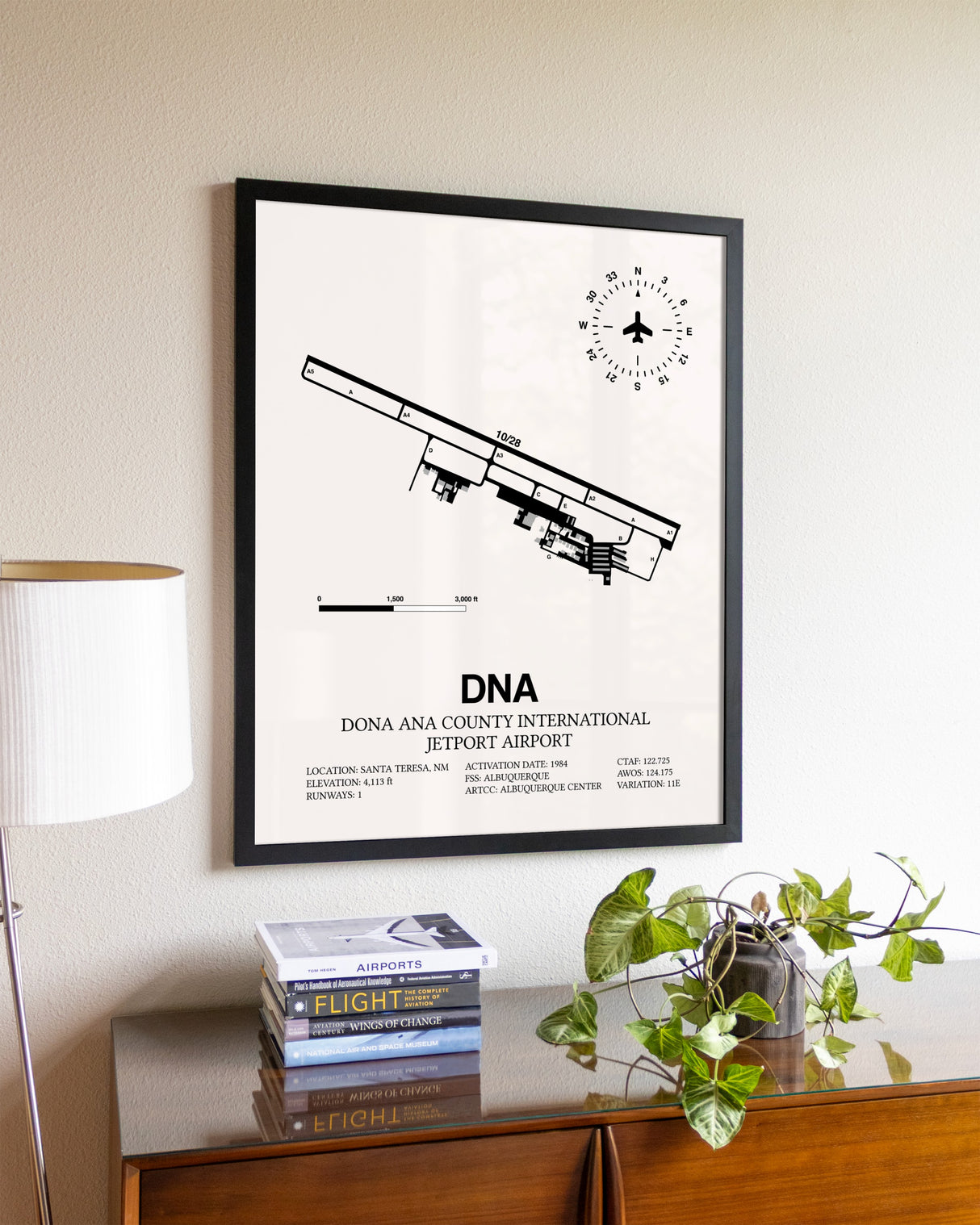 Dona Ana County International Jetport Airport aviation wall décor in black wood frame