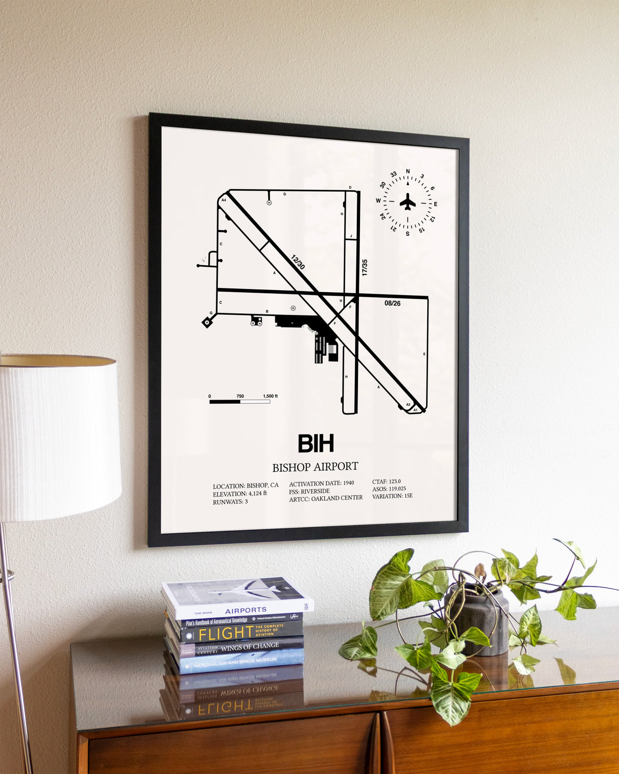 Bishop Airport aviation wall décor in black wood frame