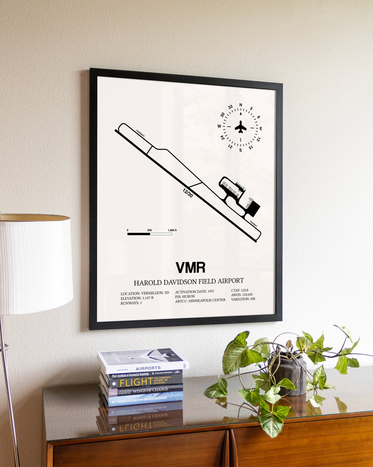 Harold Davidson Field Airport aviation wall décor in black wood frame