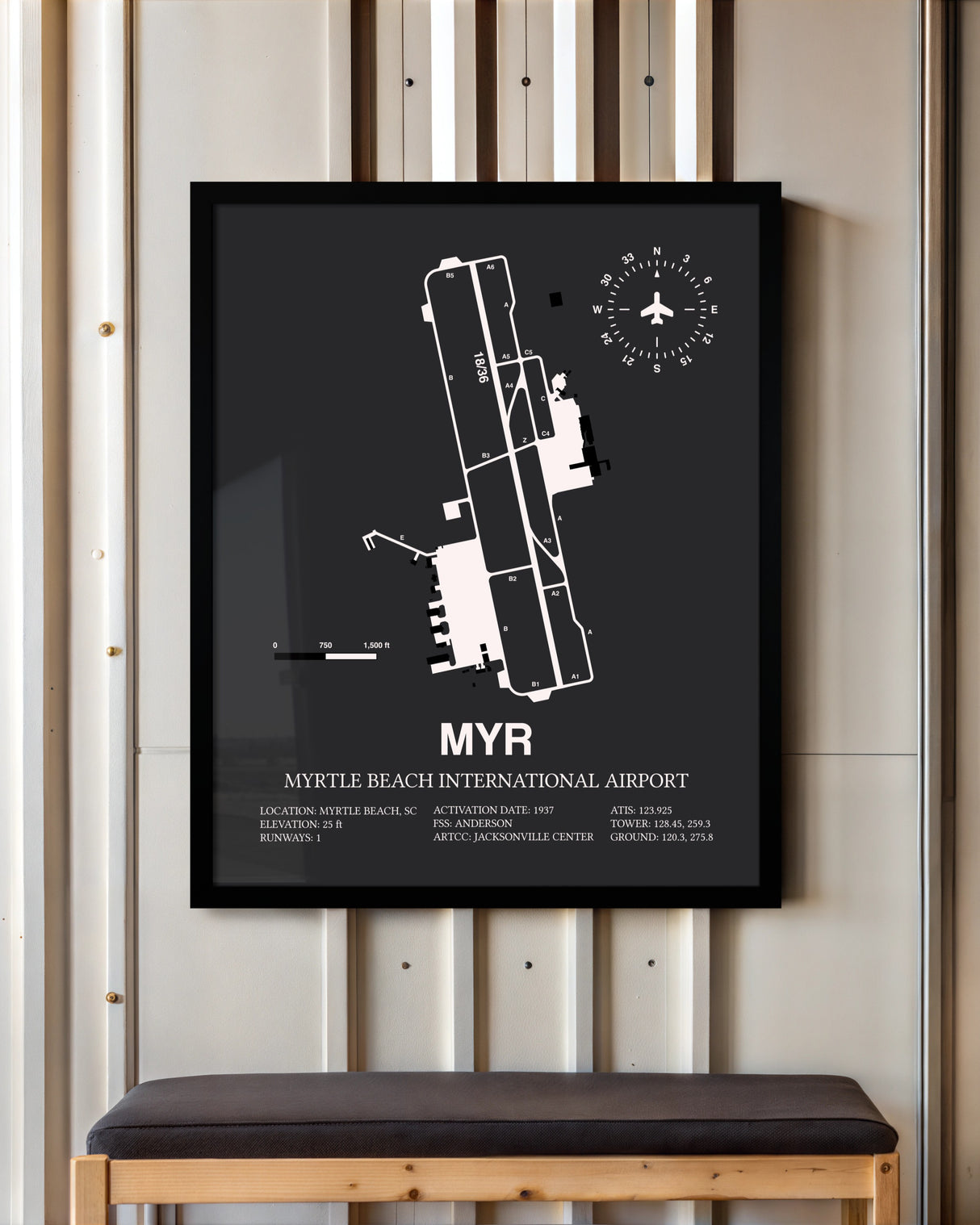 Frame color options for Myrtle Beach International Airport Wall Art