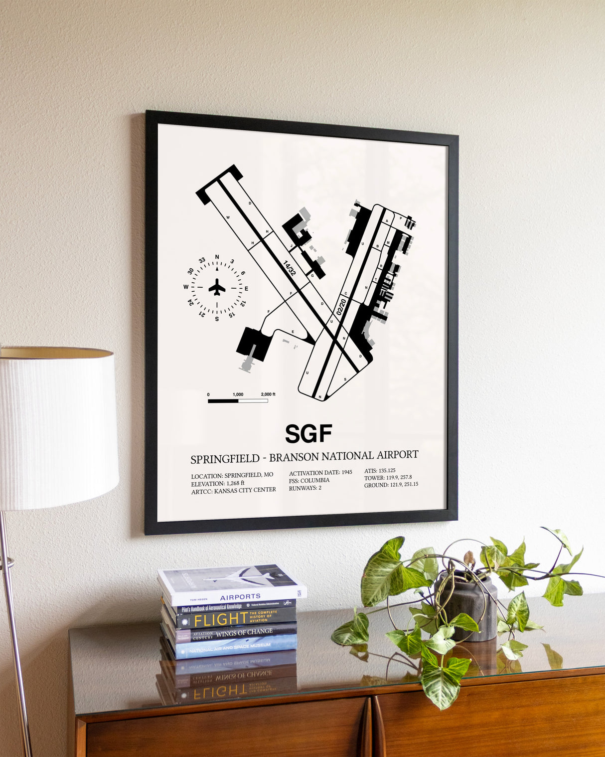 Springfield-Branson National Airport aviation wall décor in black wood frame