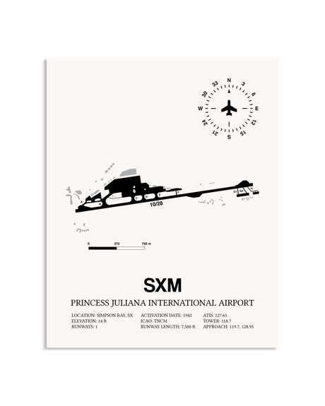 Gray Princess Juliana International Airport framed poster displayed in an airplane hangar