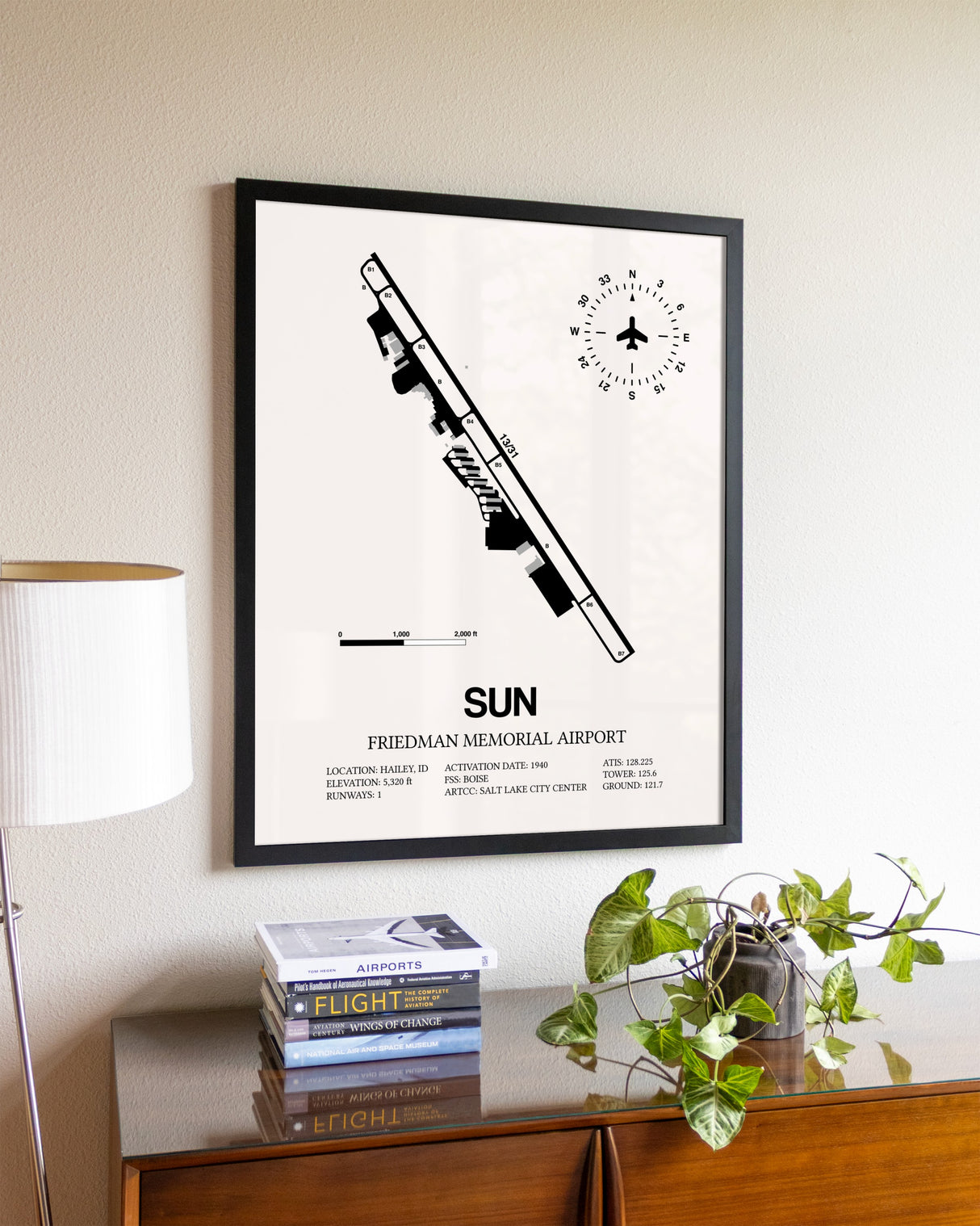 Friedman Memorial Airport aviation wall décor in black wood frame
