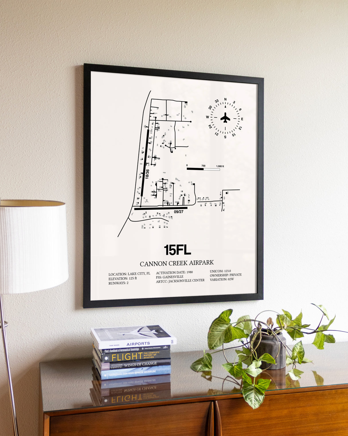 Cannon Creek Airpark aviation wall décor in black wood frame