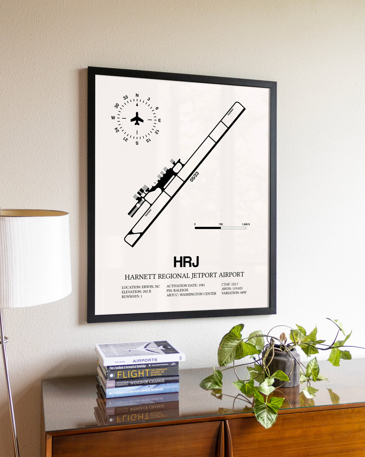 Harnett Regional Jetport Airport aviation wall décor in black wood frame