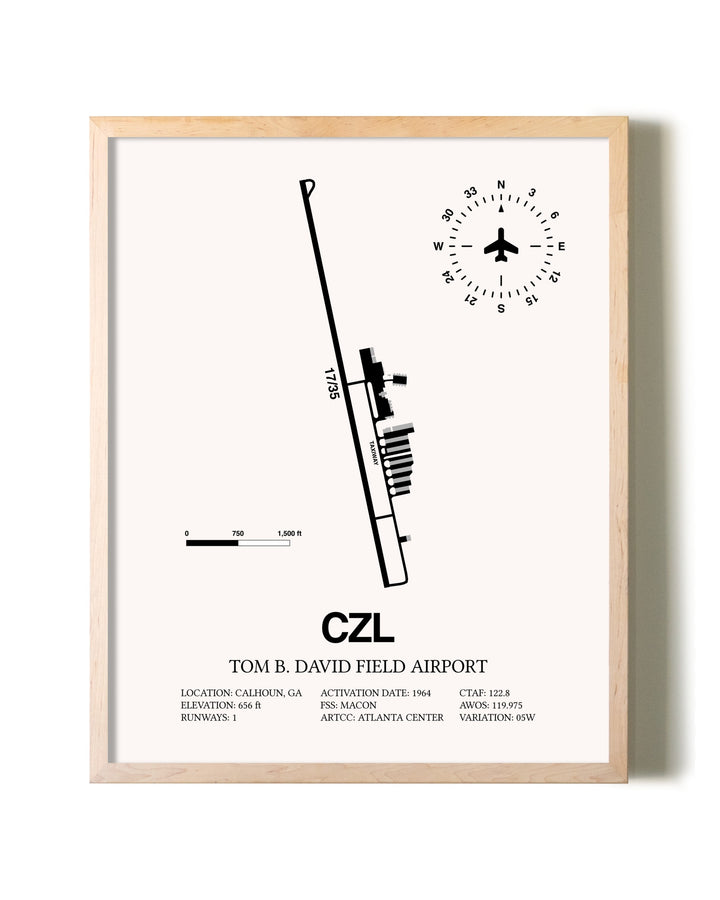 Tom B. David Field Airport framed wall art in white frame