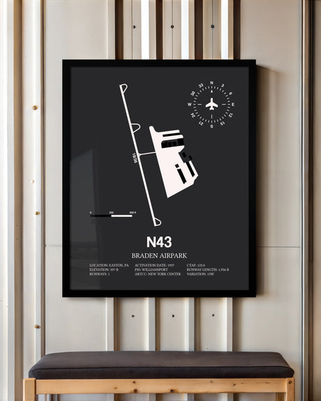 Frame color options for Braden Airpark Wall Art