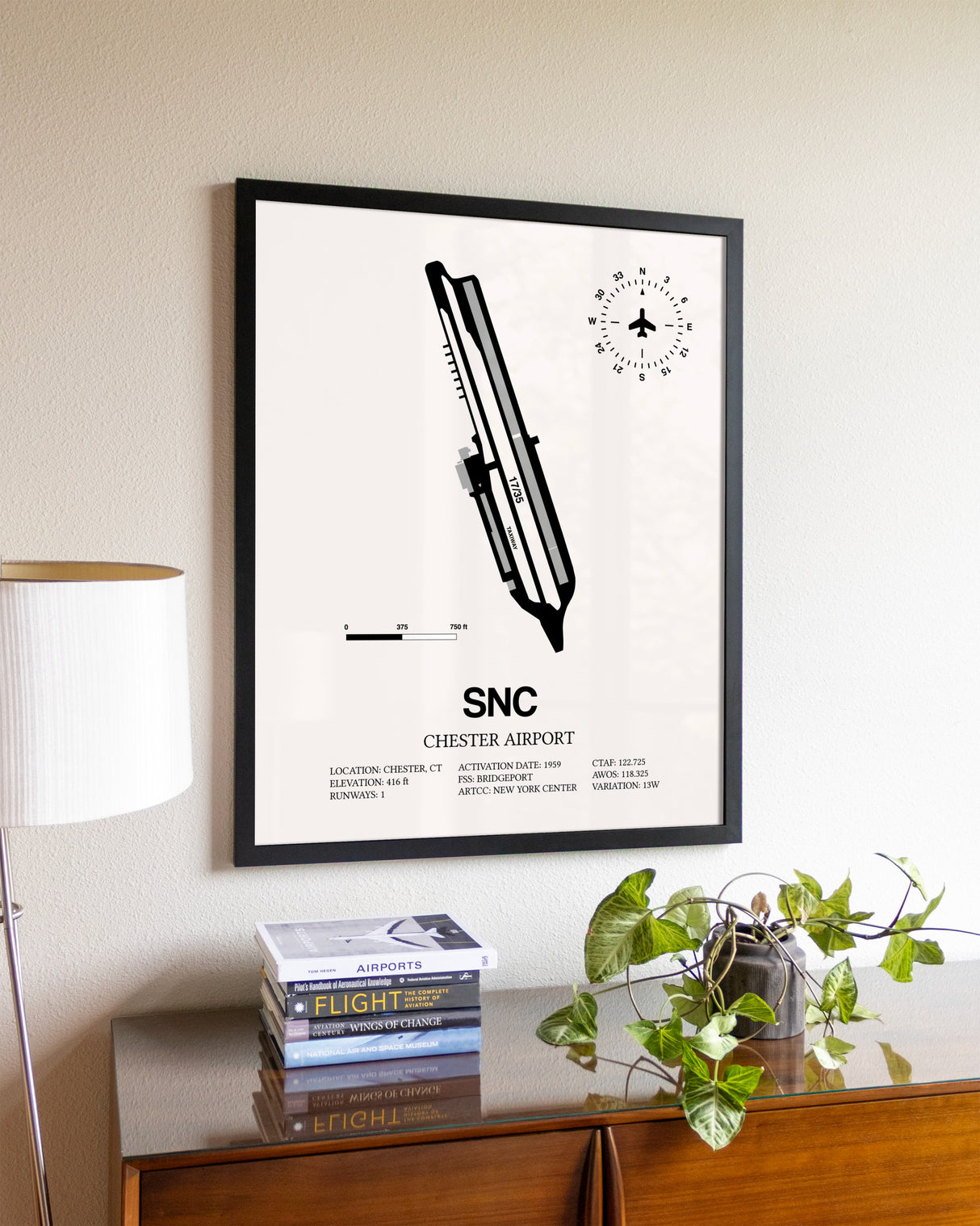 Chester Airport aviation wall décor in black wood frame