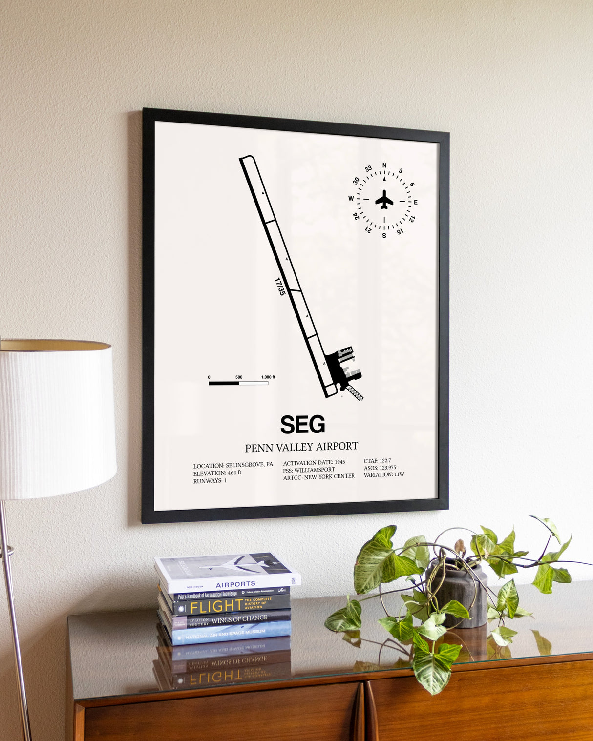 Penn Valley Airport aviation wall décor in black wood frame