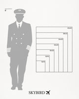 Baltimore/Washington International Thurgood Marshall Airport poster size comparison chart