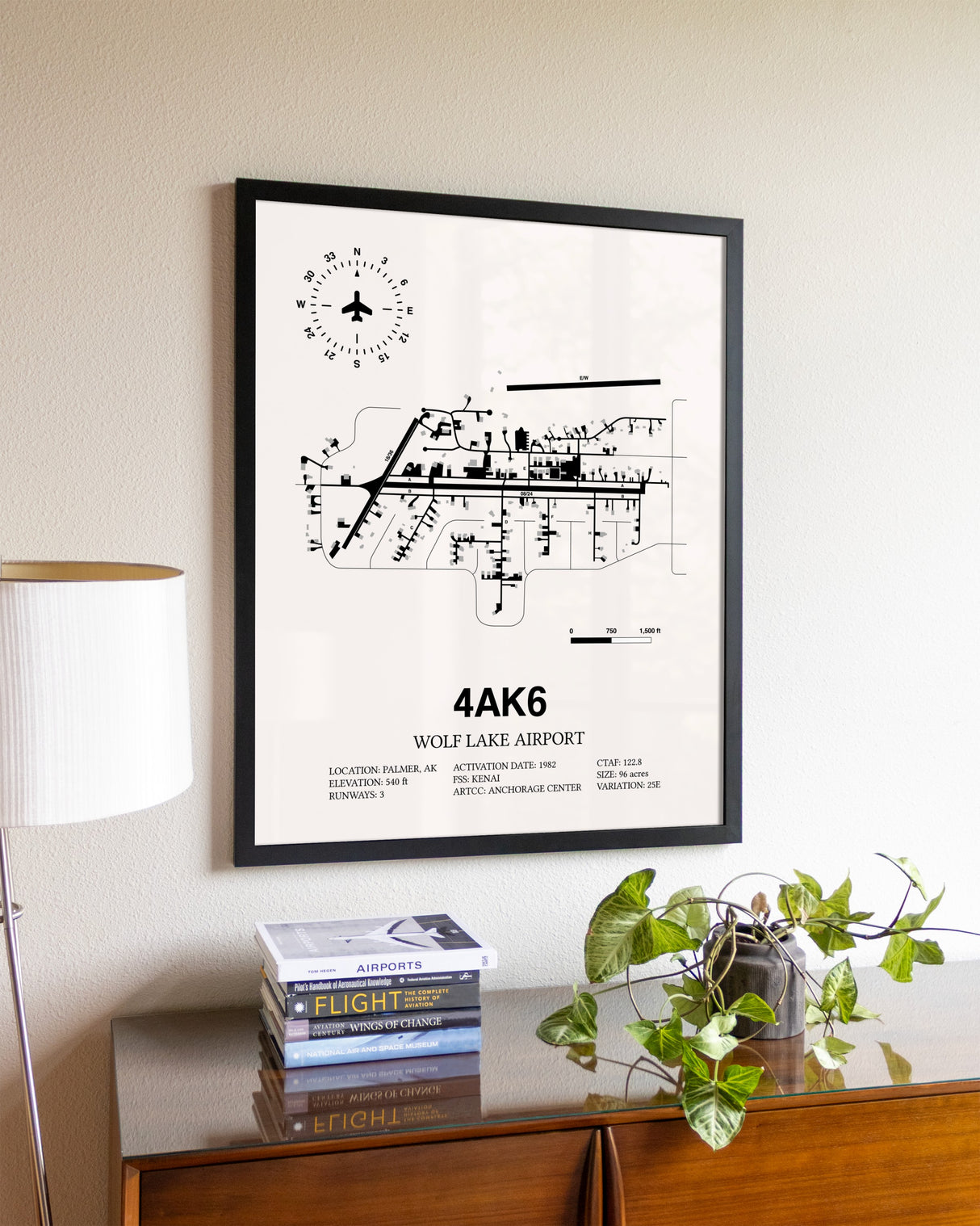 Wolf Lake Airport aviation wall décor in black wood frame