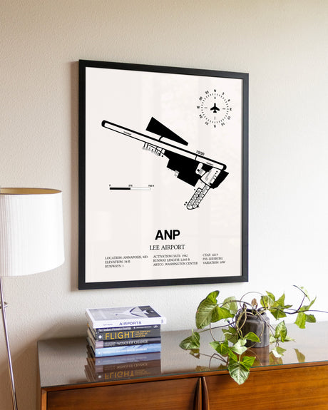 Lee Airport aviation wall décor in black wood frame