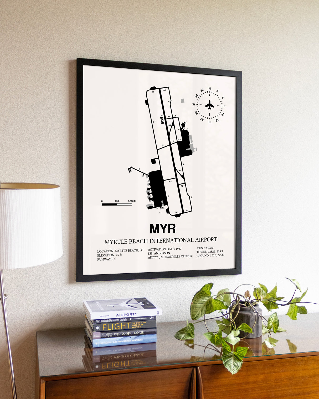 Myrtle Beach International Airport aviation wall décor in black wood frame
