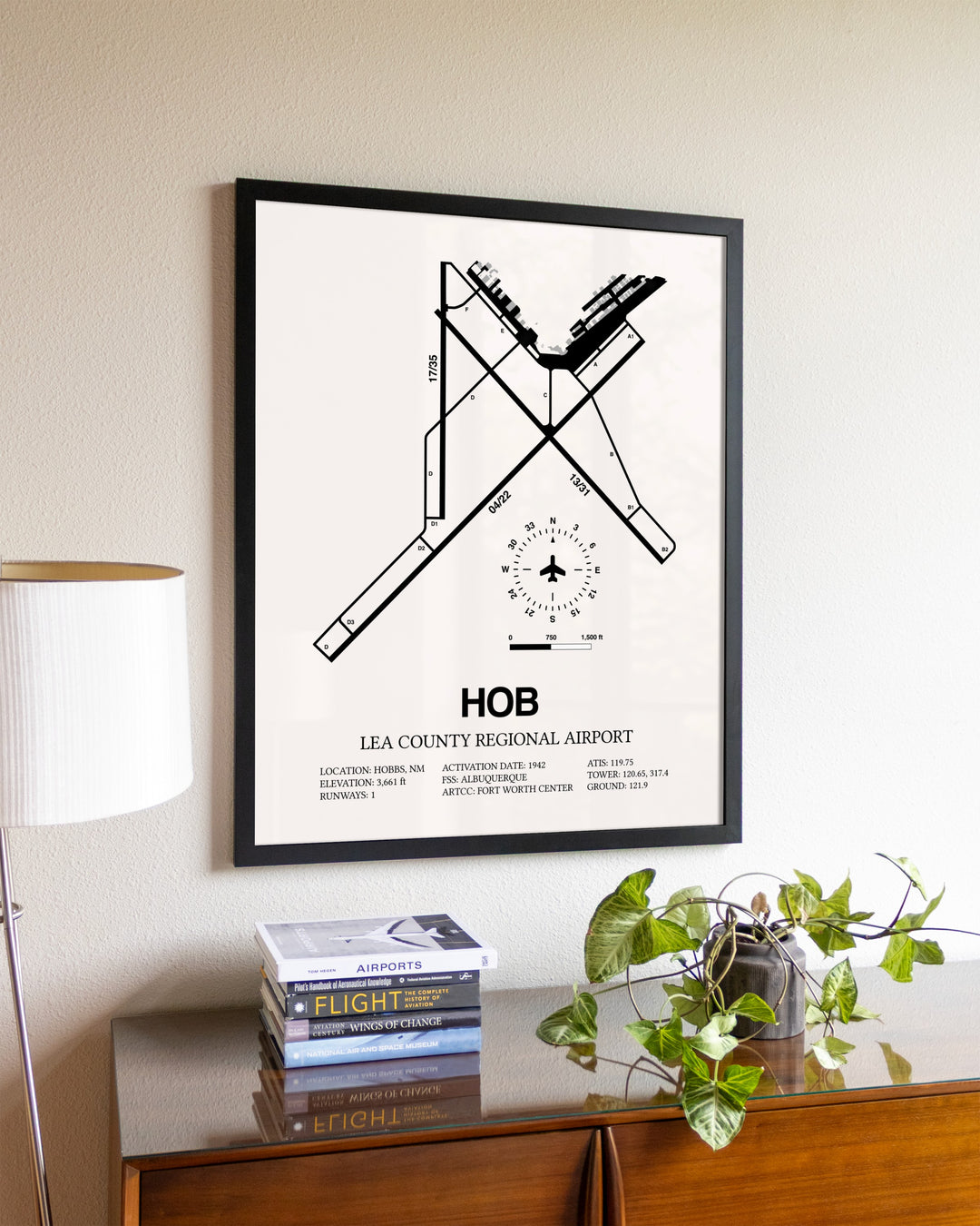 Lea County Regional Airport aviation wall décor in black wood frame