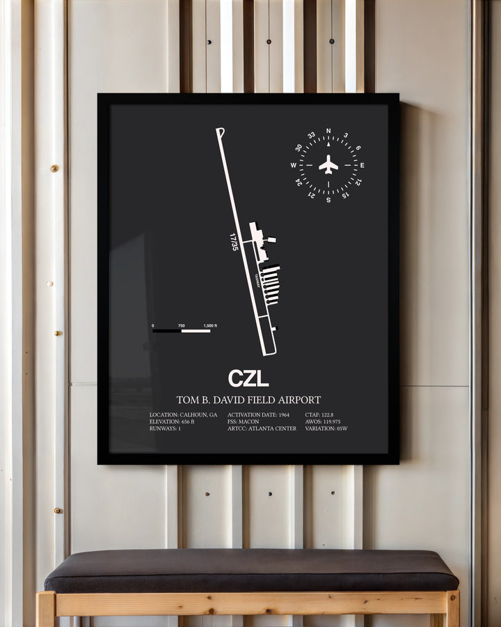 Frame color options for Tom B. David Field Airport Wall Art