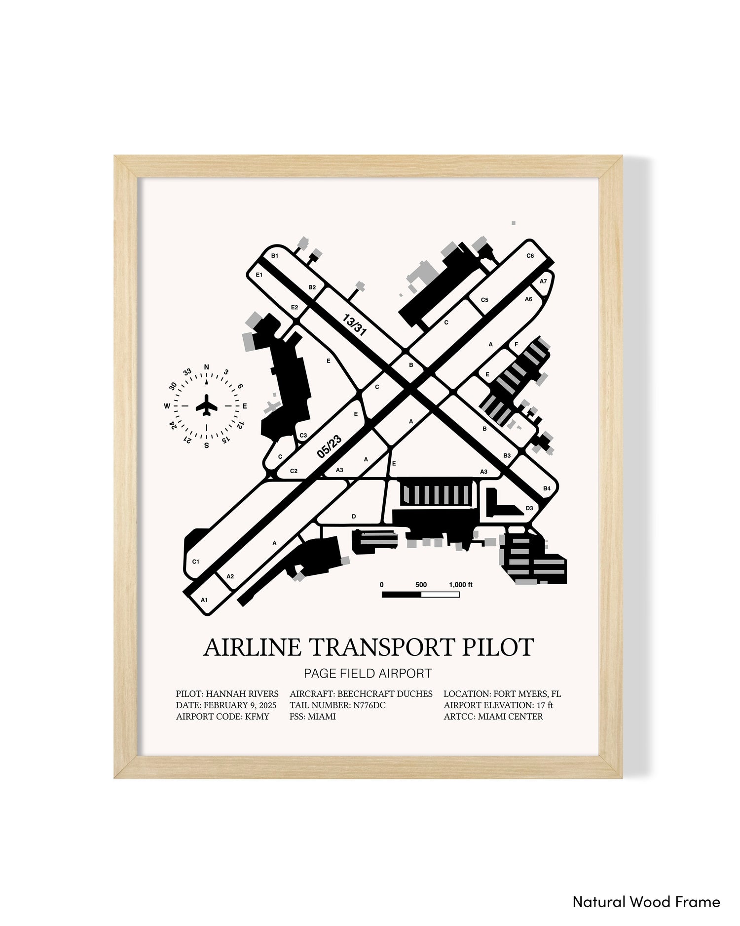 Airline Transport Pilot Custom Print