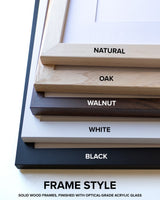 Frame color options for Baltimore/Washington International Thurgood Marshall Airport Wall Art