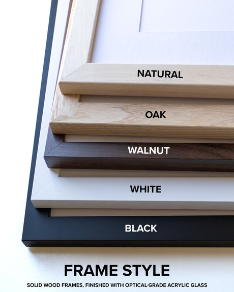 GrayAnoka County/Blaine Airport (Janes Field) Airport poster size comparison chart
