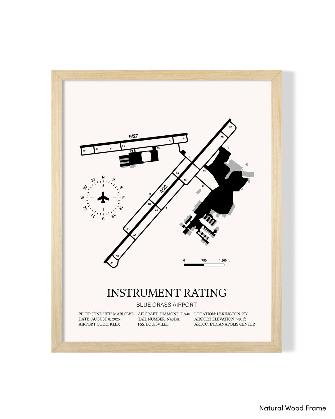Instrument Rating Custom Print