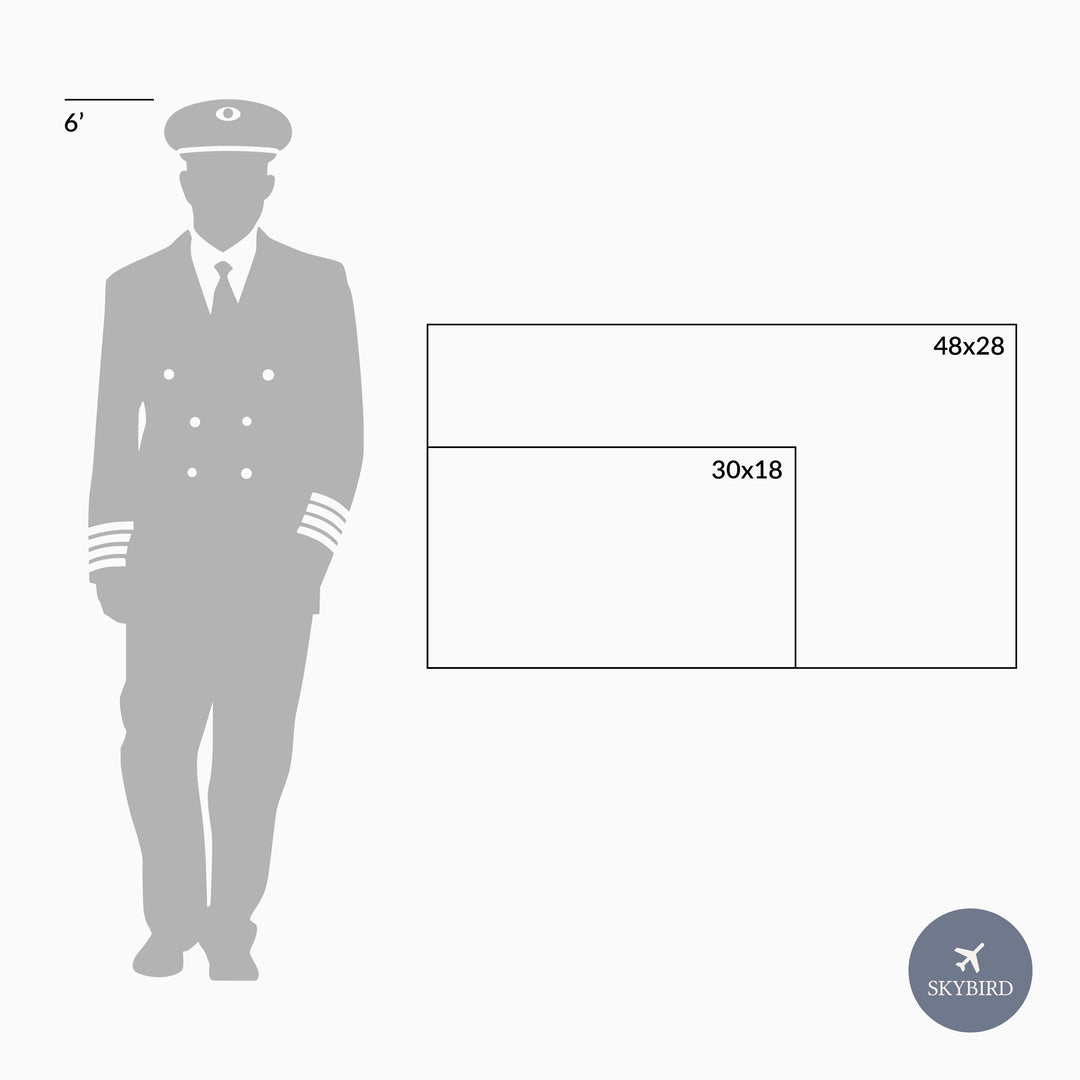 United States Airports Push Pin Map