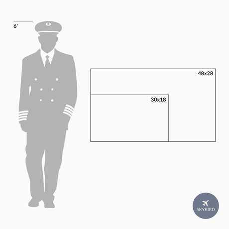 United States Airports Push Pin Map