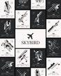 SkybirdSupply Detailed Airport Maps