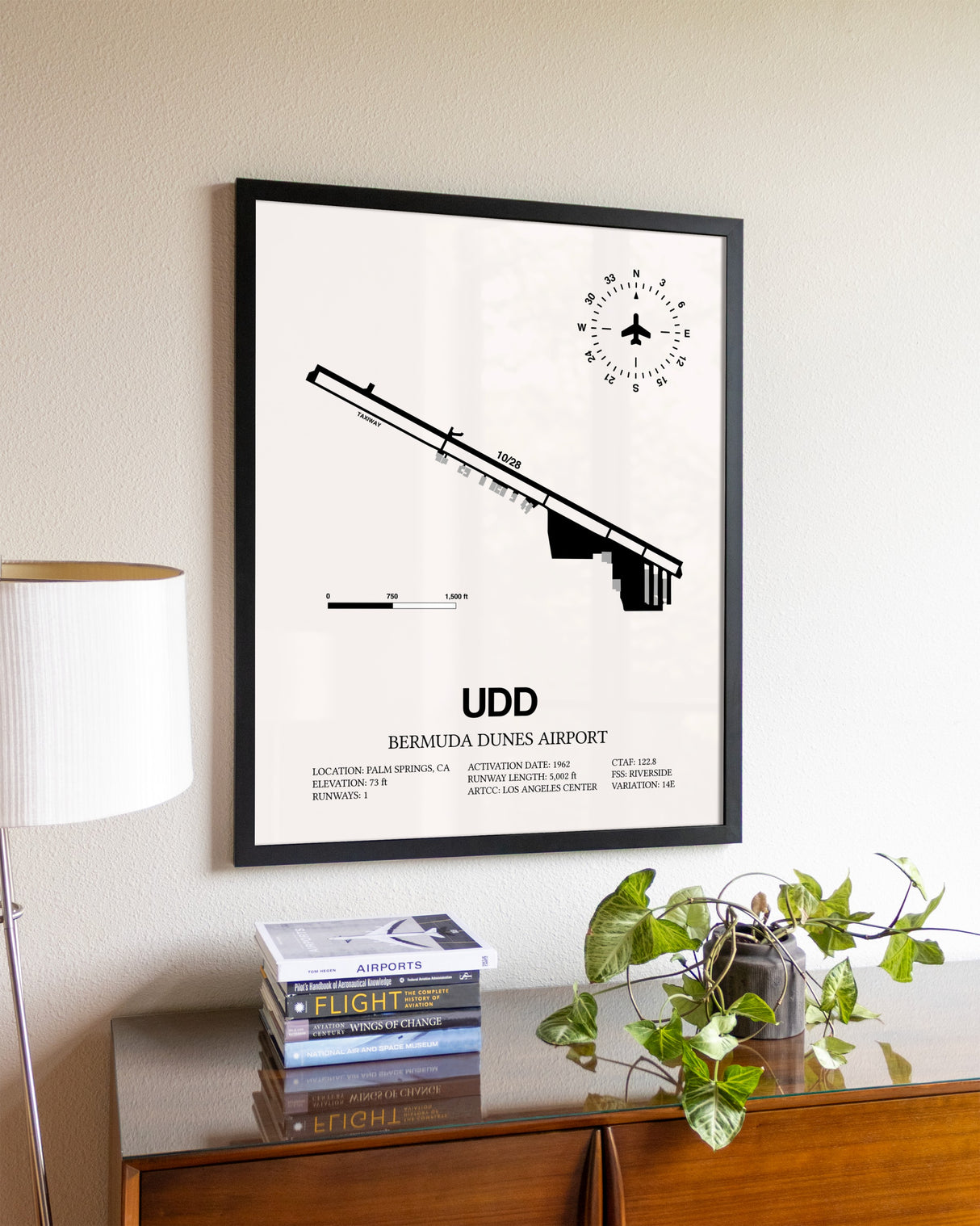 Bermuda Dunes Airport aviation wall décor in black wood frame