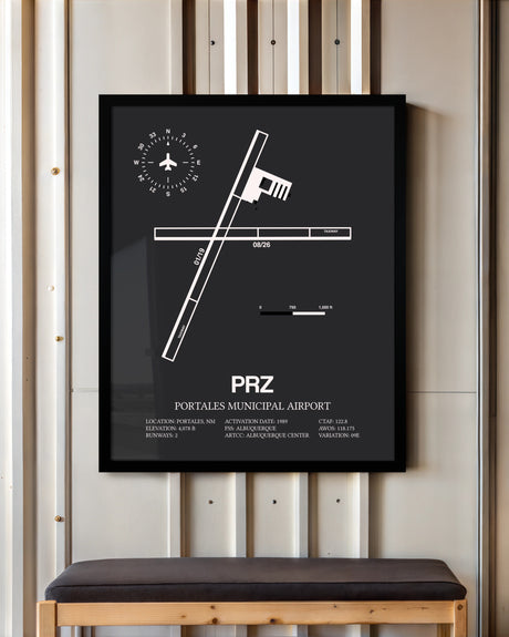 Frame color options for Portales Municipal Airport Wall Art