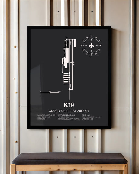 Frame color options for Albany Municipal Airport Wall Art