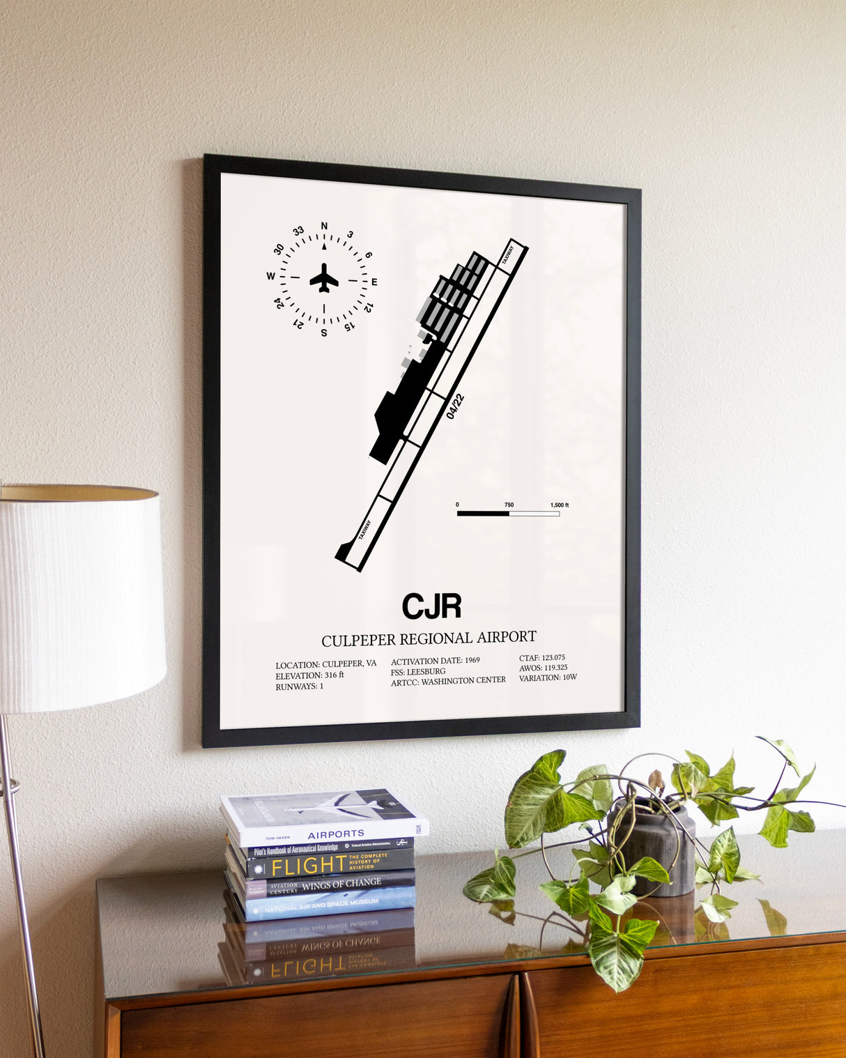 Culpeper Regional Airport aviation wall décor in black wood frame
