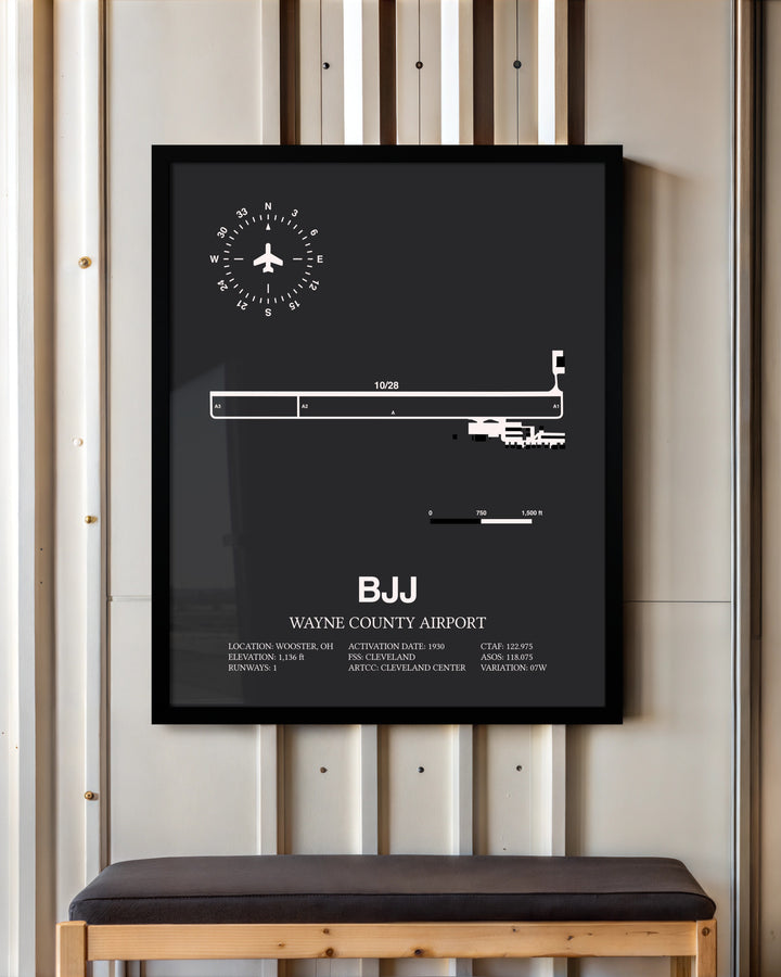 Frame color options for Wayne County Airport Wall Art