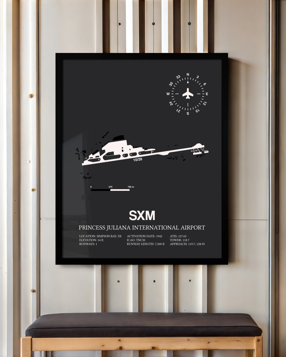 Frame color options for Princess Juliana International Airport Wall Art