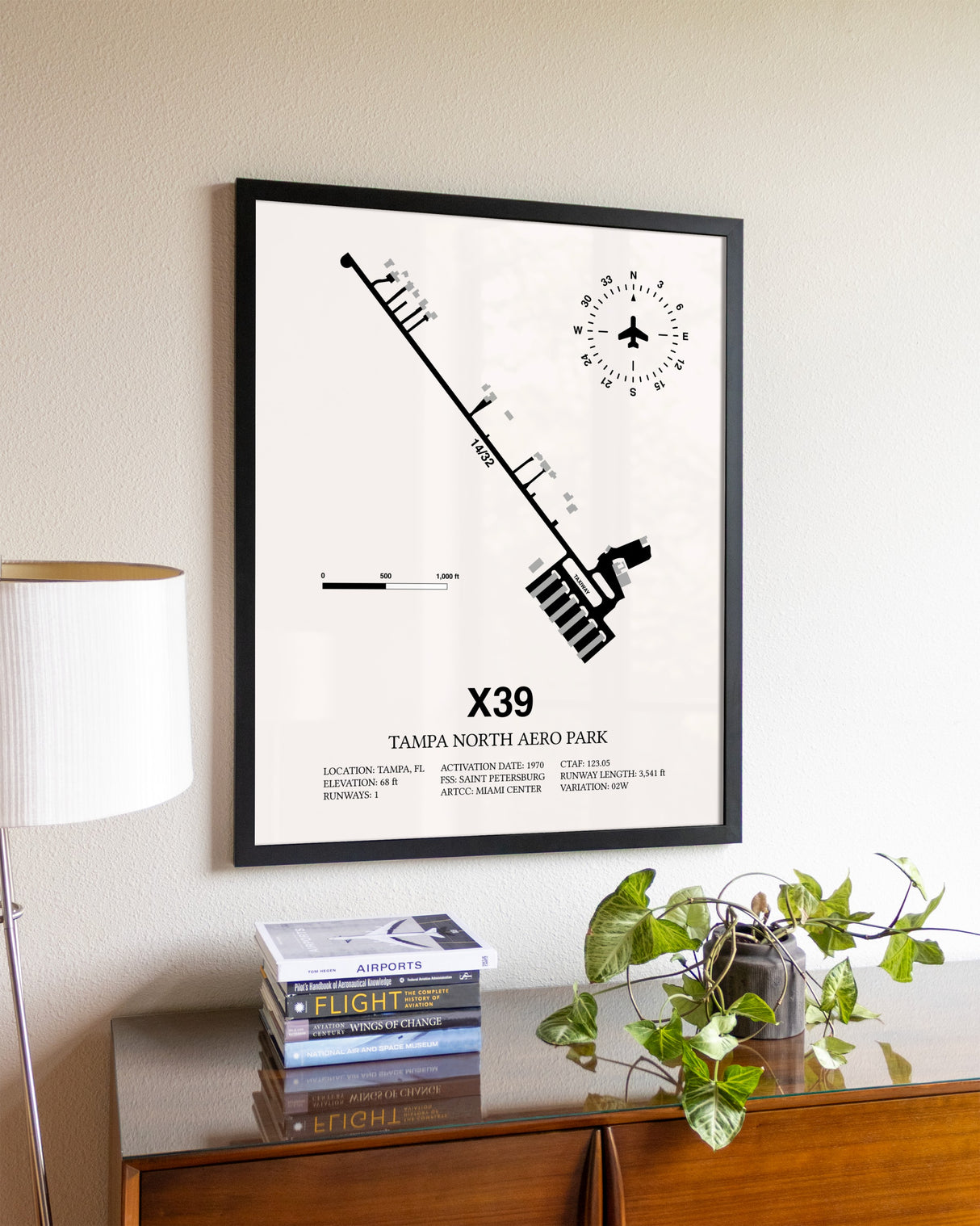 Tampa North Aero Park aviation wall décor in black wood frame