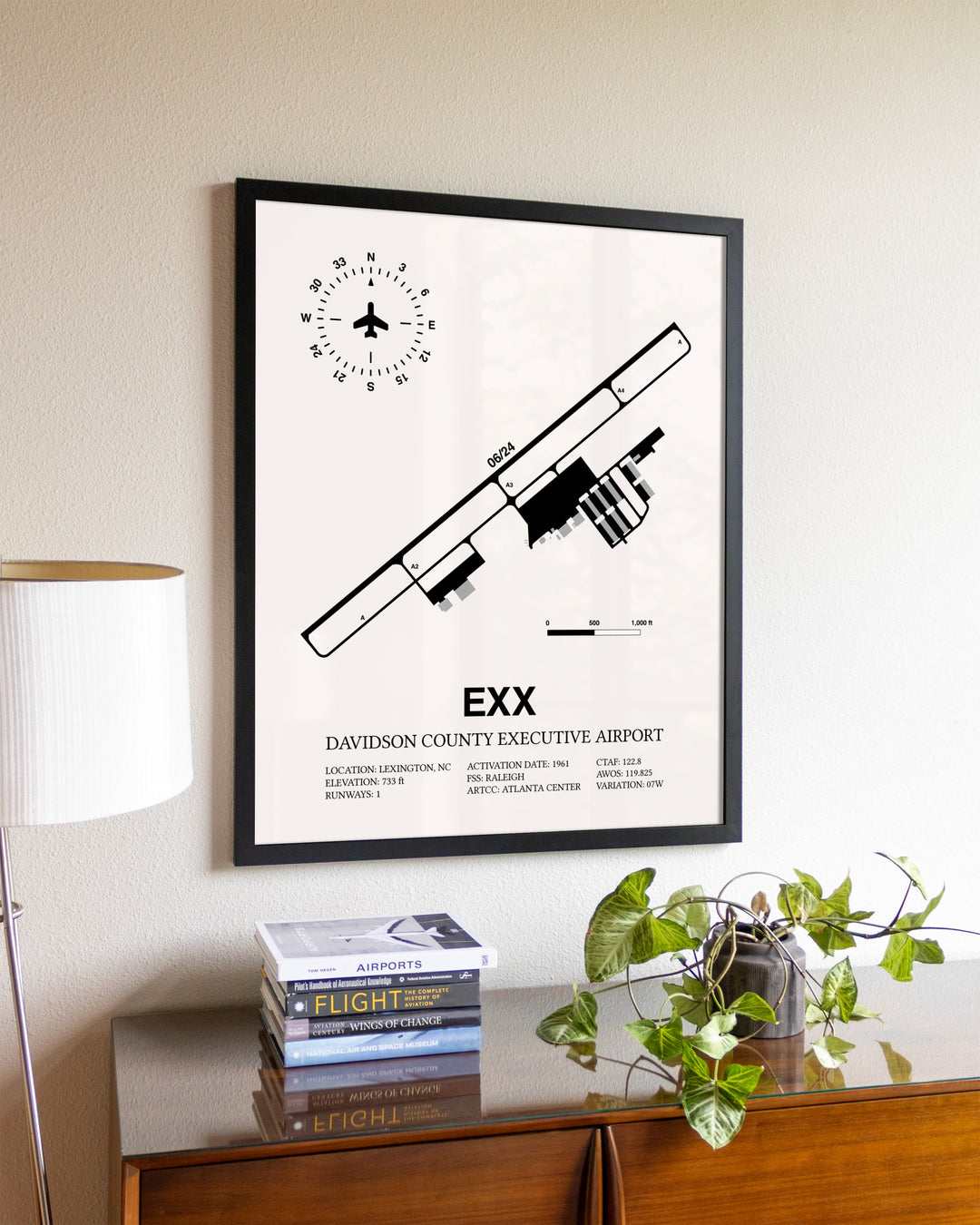 Davidson County Executive Airport aviation wall décor in black wood frame