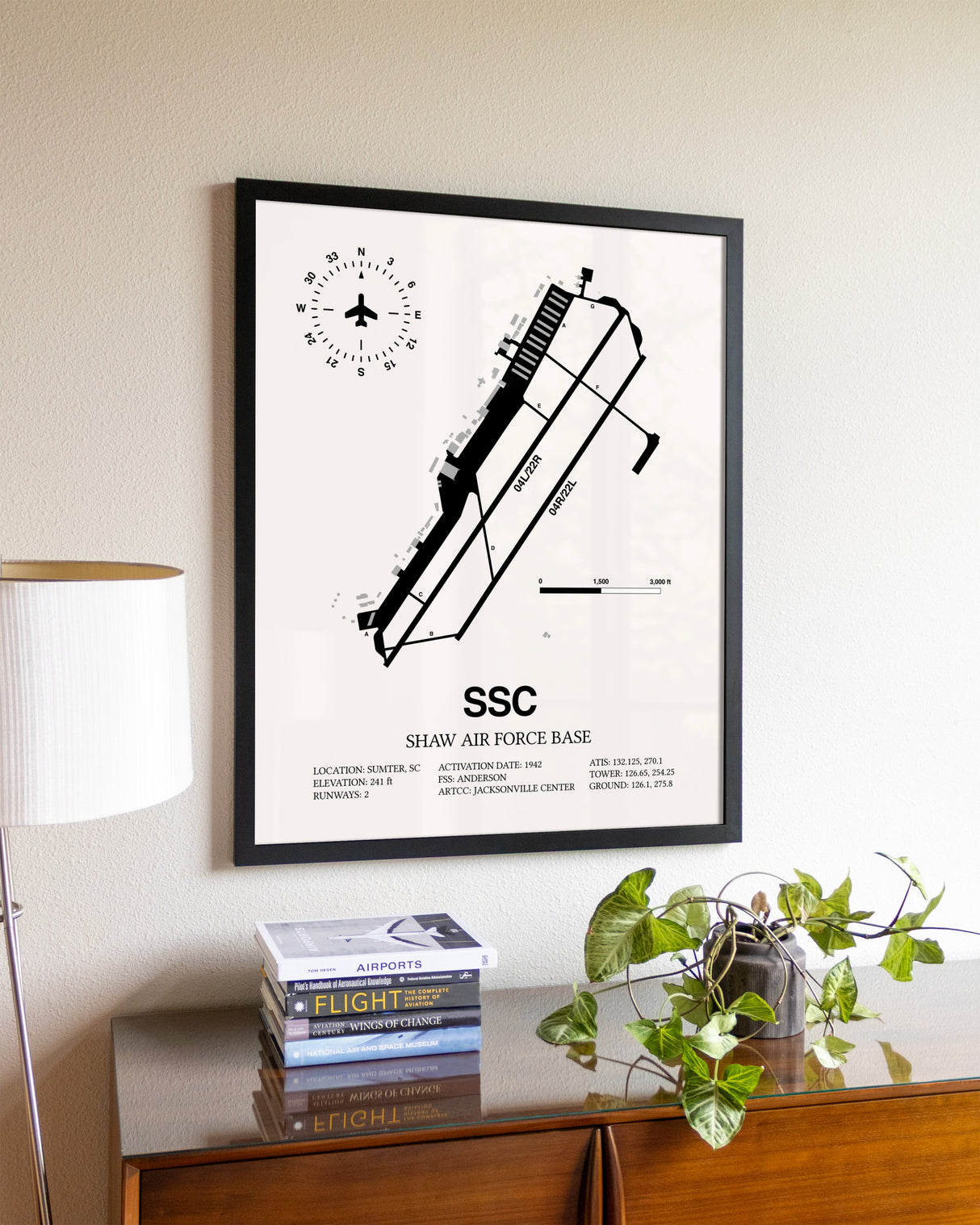 Shaw Air Force Base aviation wall décor in black wood frame