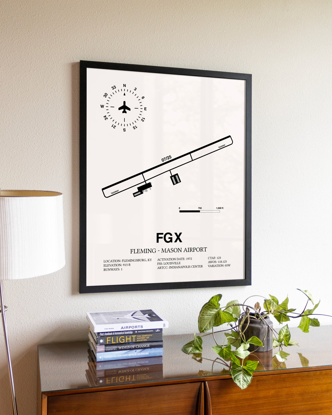 Fleming-Mason Airport aviation wall décor in black wood frame