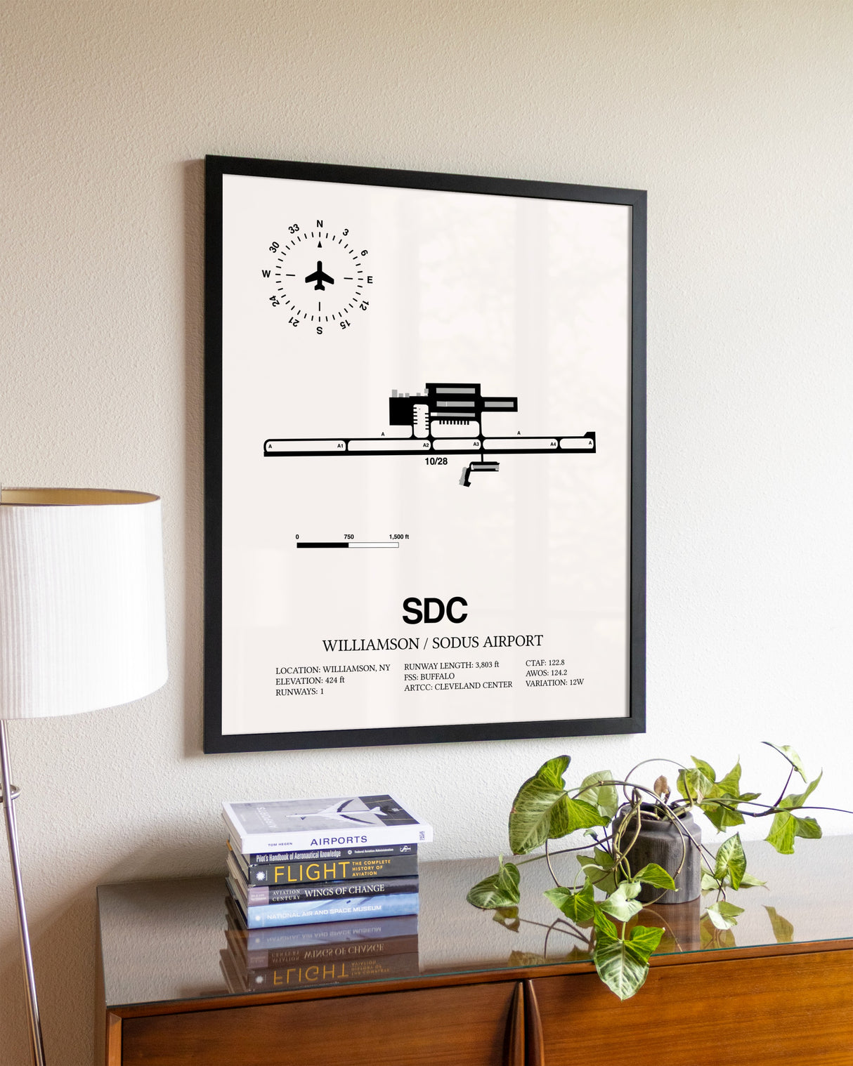 Williamson / Sodus Airport aviation wall décor in black wood frame