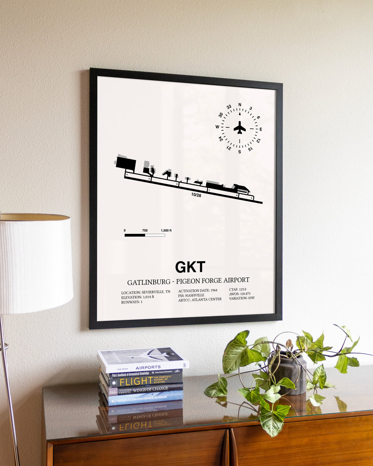 Gatlinburg-Pigeon Forge Airport aviation wall décor in black wood frame